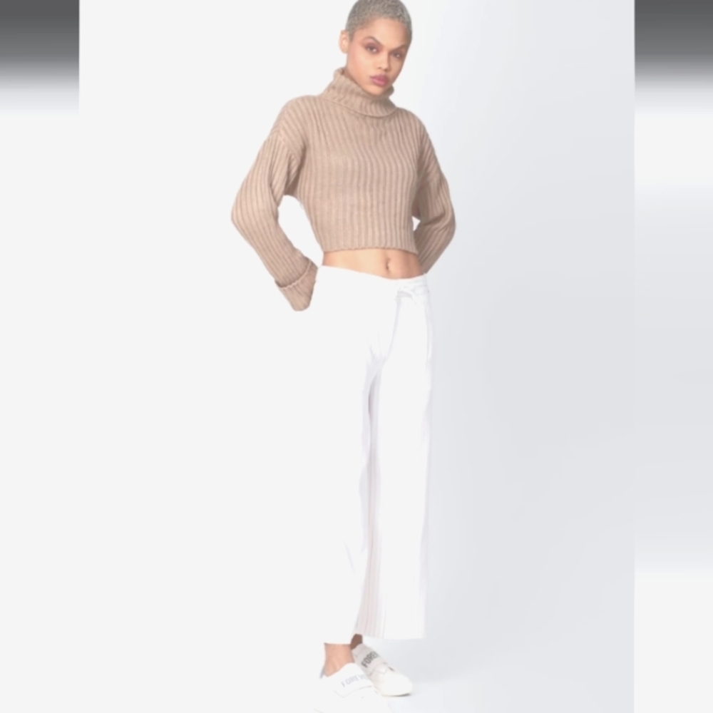 Forever 21 Cropped Ribbed Beige Turtleneck Sweater Top